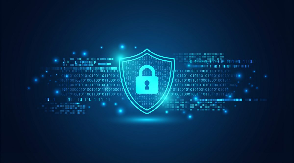 白鸟加速器隐私安全保护